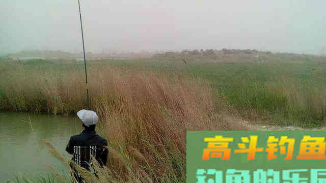 秋季野钓想要好渔获，这些变化就得了然于心