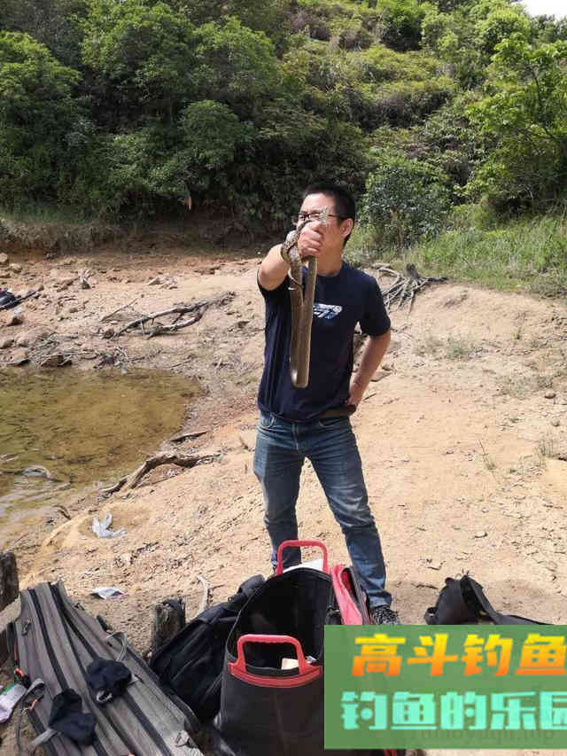 秋季毒蛇特别活跃，野钓需留意