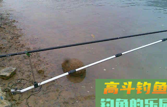 趁着夏季活跃期钓白条，需要掌握技巧