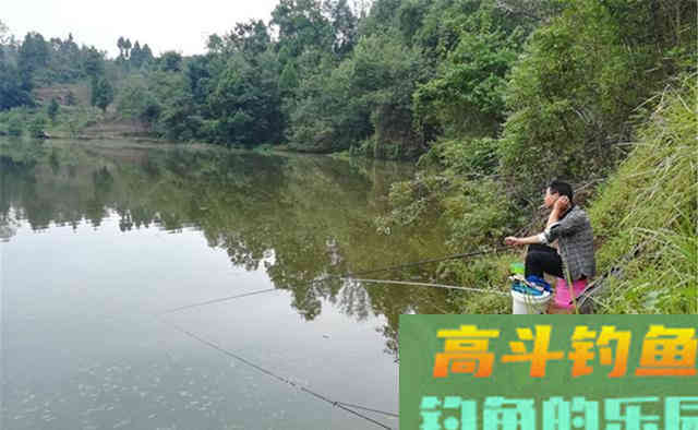 秋季钓鱼，钓远还是钓边呢