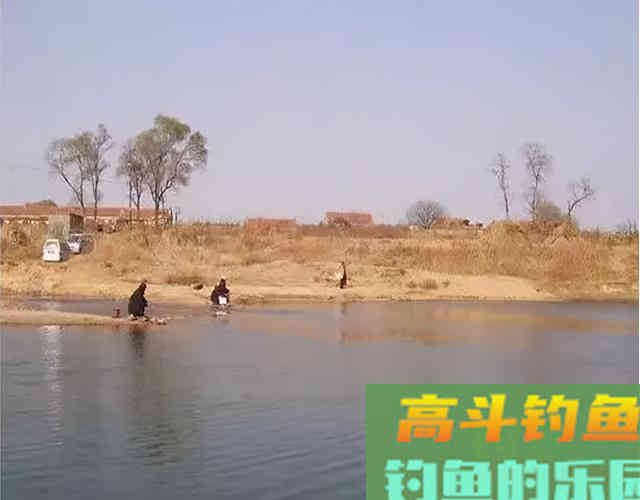 初冬野钓，这几种情况，钓浅比钓深的鱼口更多