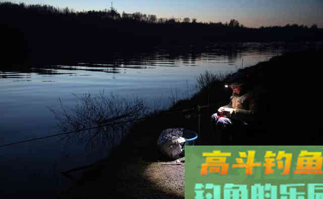 不得不承认，夏季夜钓比白天强，这几点足以说明