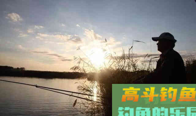 冬季一定要钓深吗？老钓手总结的经验，让我不空军