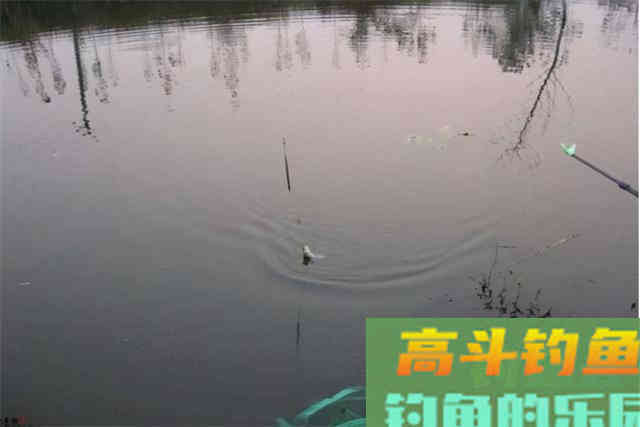 冬季户外野钓，到底钓深还是钓浅，可以遵循这几个原则