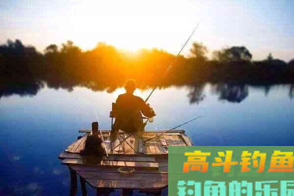 夏天钓鱼做不到灵活变通，就不要再抱怨渔获少了
