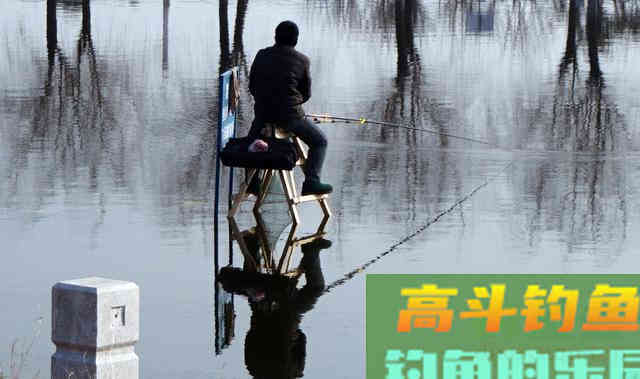若不改变冬季垂钓的关键因素，真的是白白受冻