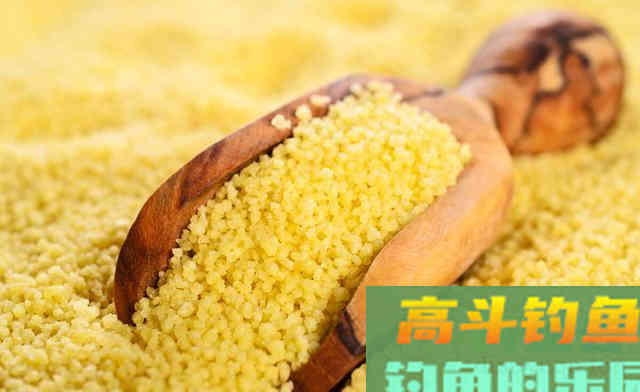 秋季野钓大鱼，钓友眼中的那些傻瓜，其实才是真聪明