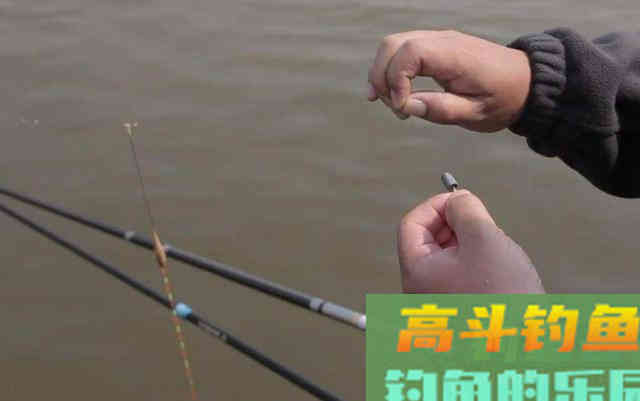秋季如何垂钓近水
