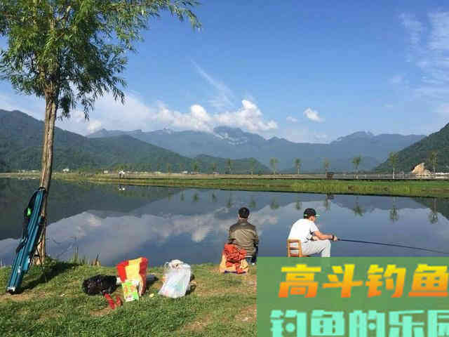 夏天鱼儿比较分散，但这几种天然鱼道比较聚鱼