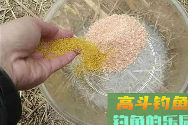 实话告诉你，夏钓唯独这饵料用法才最关键