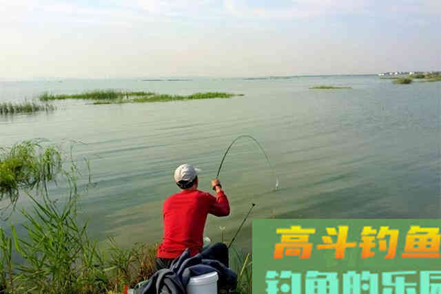 早春钓浅滩？只有这几种浅滩才出鱼！很好找且有不少