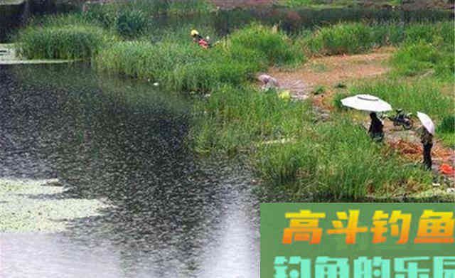 秋季钓鱼，什么天气最可能爆护