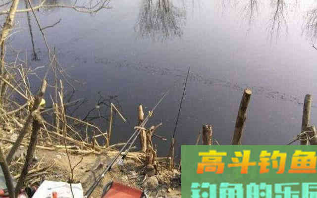 喜欢冬钓，是因为天气越冷，钓上来的鲫鱼个头越大