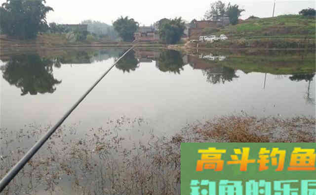 冬季钓鱼，一半在于聚鱼进窝，一半在于诱鱼咬钩
