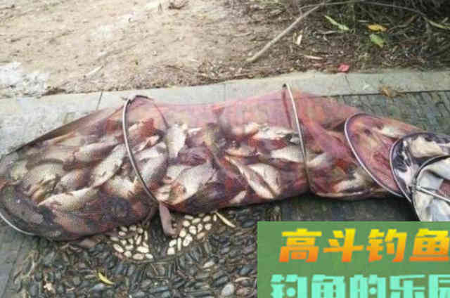 夏天热，我只想用这套一试就灵的钓法