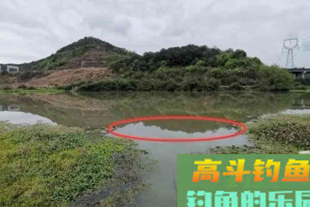 春钓只要找到3个地方，根本不愁鱼获不够多
