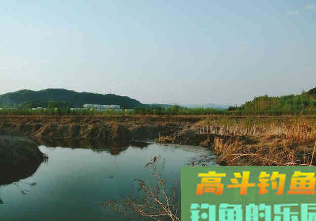 从无鱼吃钩，牵扯出春季温度上升，渔获翻倍的3个技巧