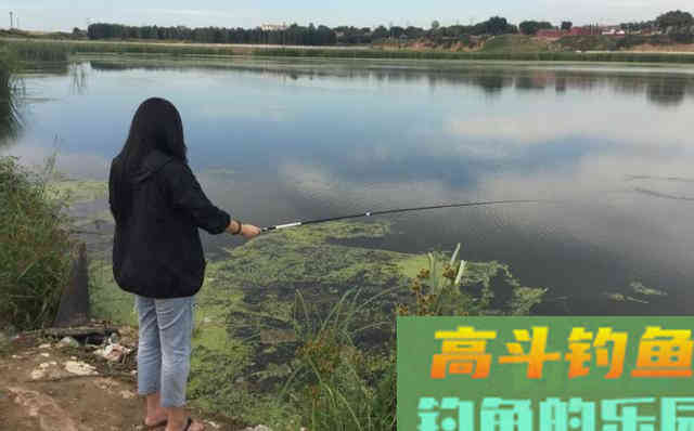 秋季钓鱼，钓浅还是钓深？选对了才能爆护