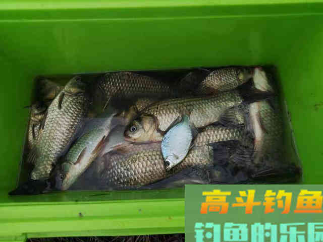 拉尼娜来袭，今年冬天钓鱼人要冷哭了！保暖攻略到手