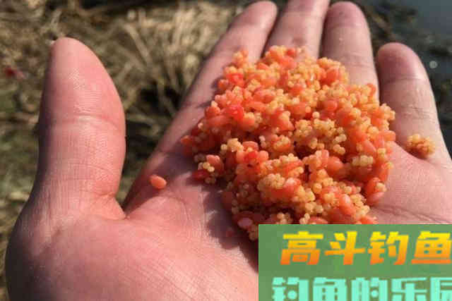 冬天钓鱼，多数人还不晓得这3个误区