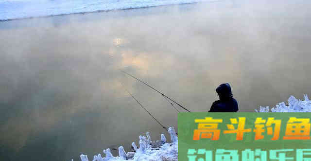 冬季天气寒冷，鱼类它会冷吗