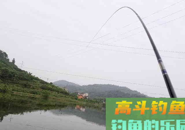春季野河钓鱼，不把这些整明白，去了也是空军