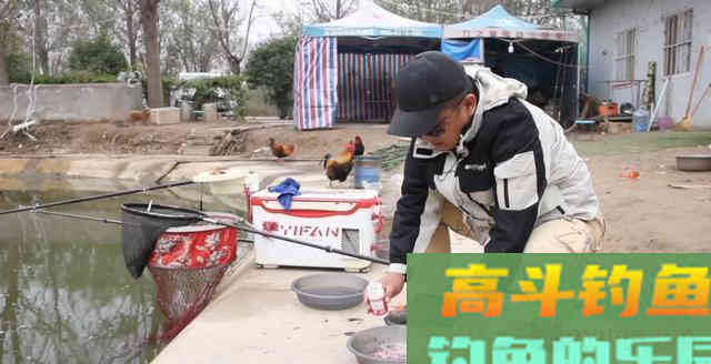 冬季钓快鱼若能爆护，鱼饵基本都是它