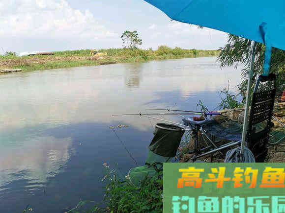 秋季大水面钓鱼攻略，钓位最重要，饵料用好爆护不难
