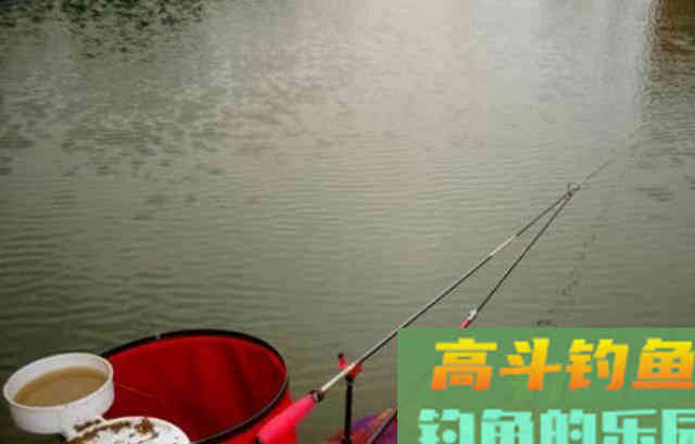 冬季钓鱼，鱼情发生了哪些变化？该如何应对呢
