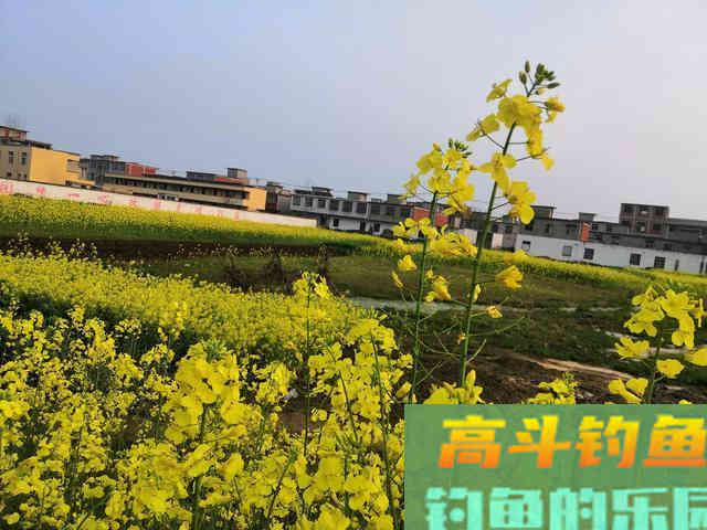 春天钓鱼，忽视这3点，窝子打了也白搭