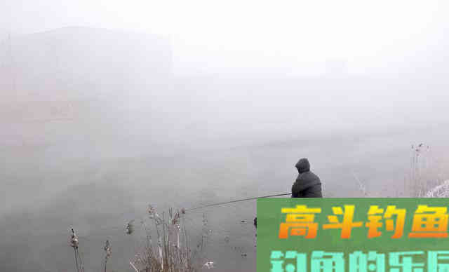 冬钓到底钓深还是钓浅