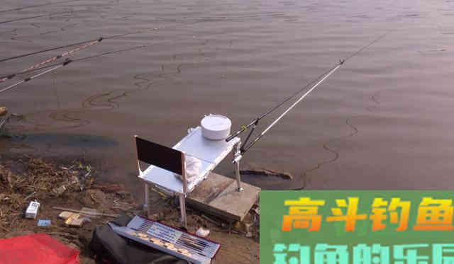 初夏，降雨增多，河流涨水鲫鱼多