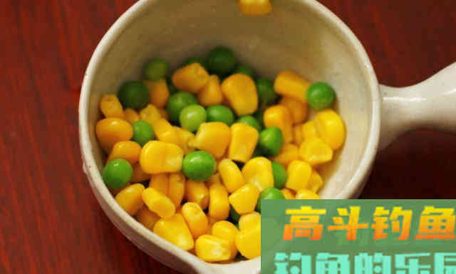 为什么你夏天钓不到鱼？就是因为没有掌握这四点