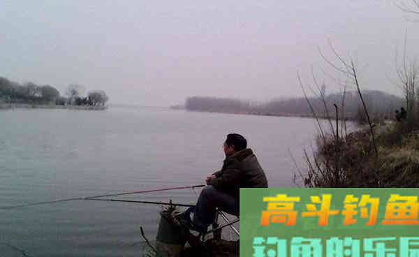 秋季鱼口变轻，用好这4招，即可轻松应对