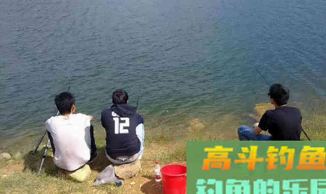 秋末冬初温度降低，应该钓浅水还是钓深水