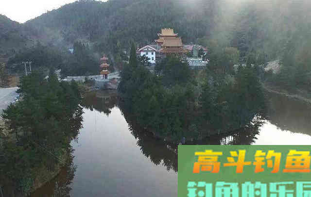 夏季野外钓鱼，遇到这4种情况，别白白浪费窝料