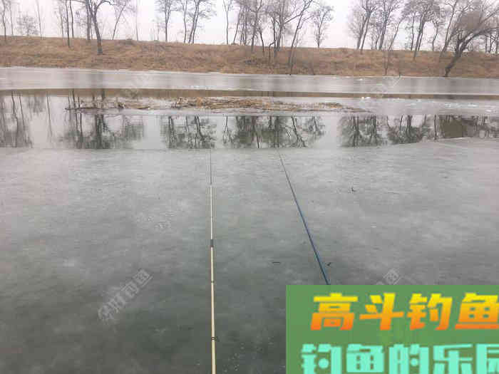 年假隔天钓，鱼获节节高--疫期冬钓总结超长篇