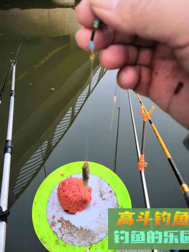 春天钓鱼，忽视这3点，窝子打了也白搭