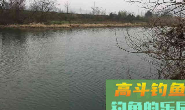 春季什么天气好钓鱼？了解天气和鱼情的关系