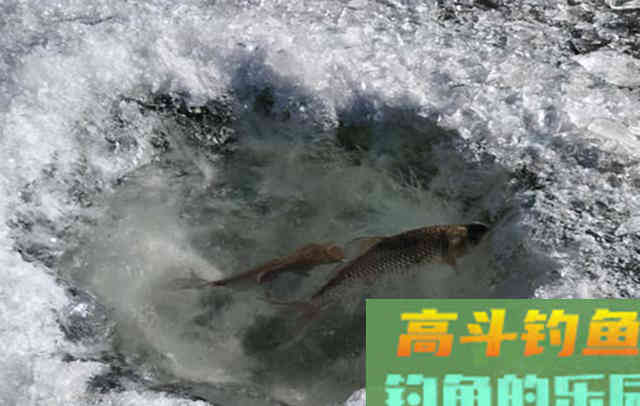 冬季野外钓鱼，牢记4小原则，渔获少不了