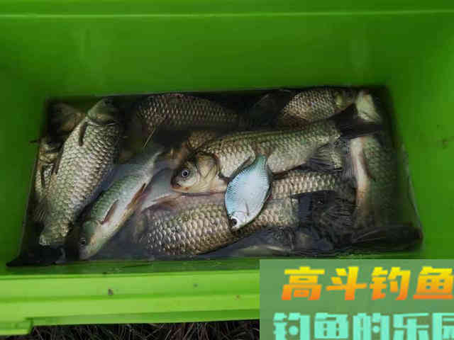 冬天找钓位三原则，符合就是鱼儿越冬之地