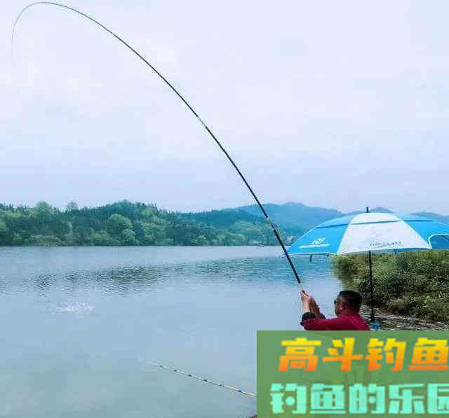 夏季涨水，暴雨后真的好钓鱼吗