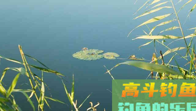 仲春钓鱼有3难，不仅是温度高钓浅水，难在鱼情和饵料
