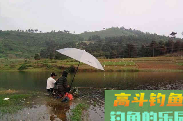 秋钓时，这样诱鱼才最霸气
