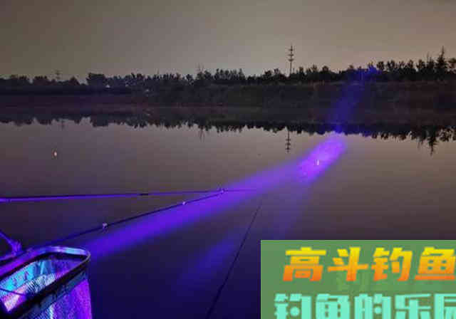 秋季晚上去钓鱼，钓友请牢记6要素