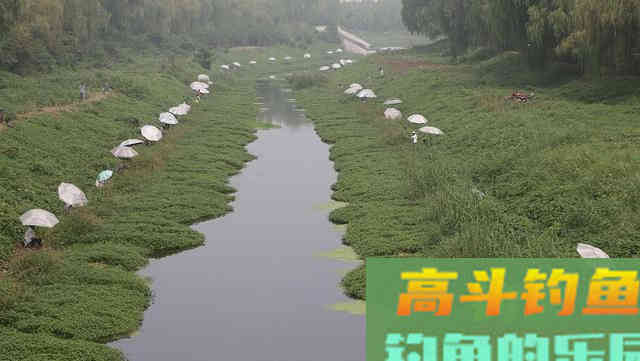 春钓浅滩钓位这样选，钓鱼更容易，渔获起码翻一倍