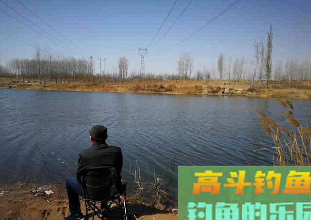 冬钓选钓位，就选这四个位置，天气越冷越聚鱼