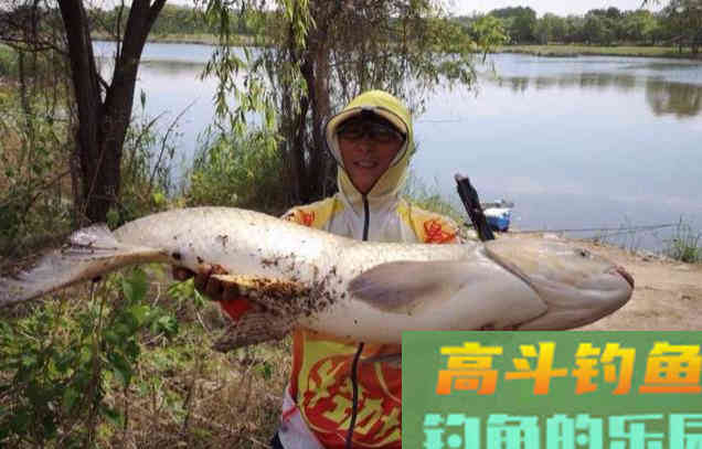 秋季降温钓鱼难？巧用水质4点变化，反让大鱼狂咬钩