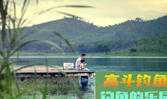 秋天下雨之后，鱼儿都会躲在哪里