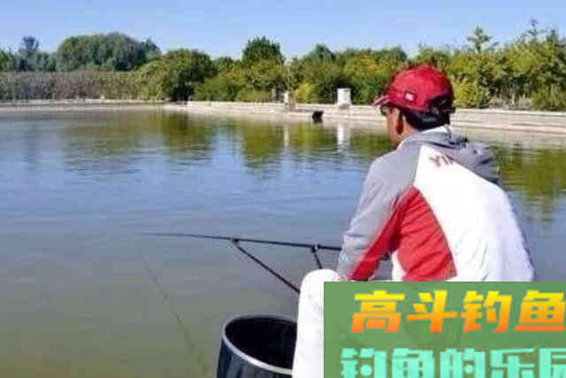 春季气温低，换用这套路，竿竿中鱼不停歇